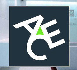 ACE Insurance is now five years old in South Africa