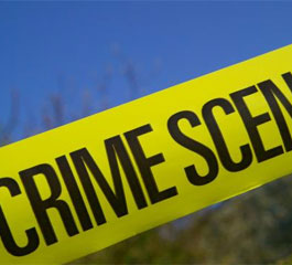 Insurance premiums will climb as crime does