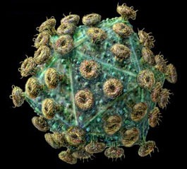 AIDS impacts on savings for future