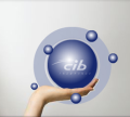 CIB Insurance Solutions makes statement regarding compulsory third party insurance