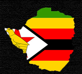 The Insurance Institute of Zimbabwe has introduced a new product