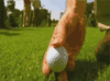 Golf Means Easy Insurance